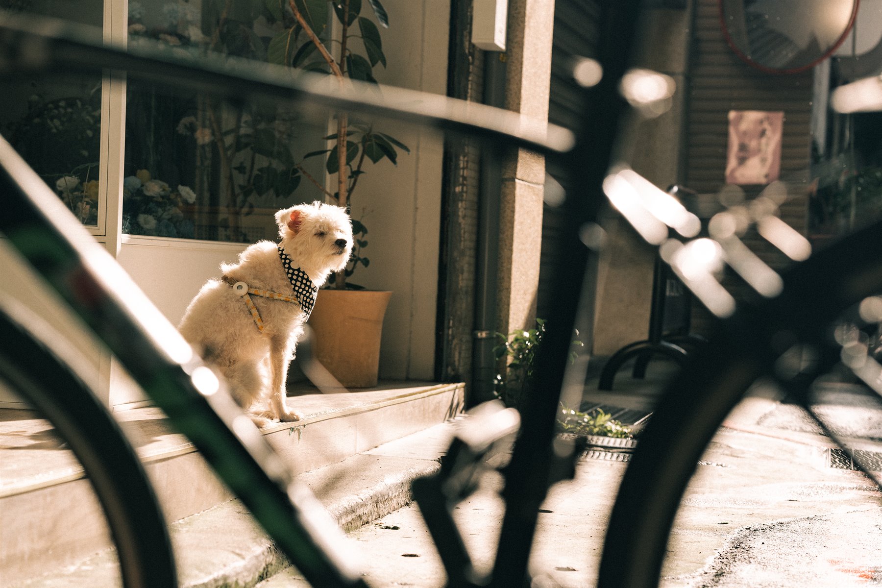 Landscape street photograph 13 / 橫式街拍作品 13