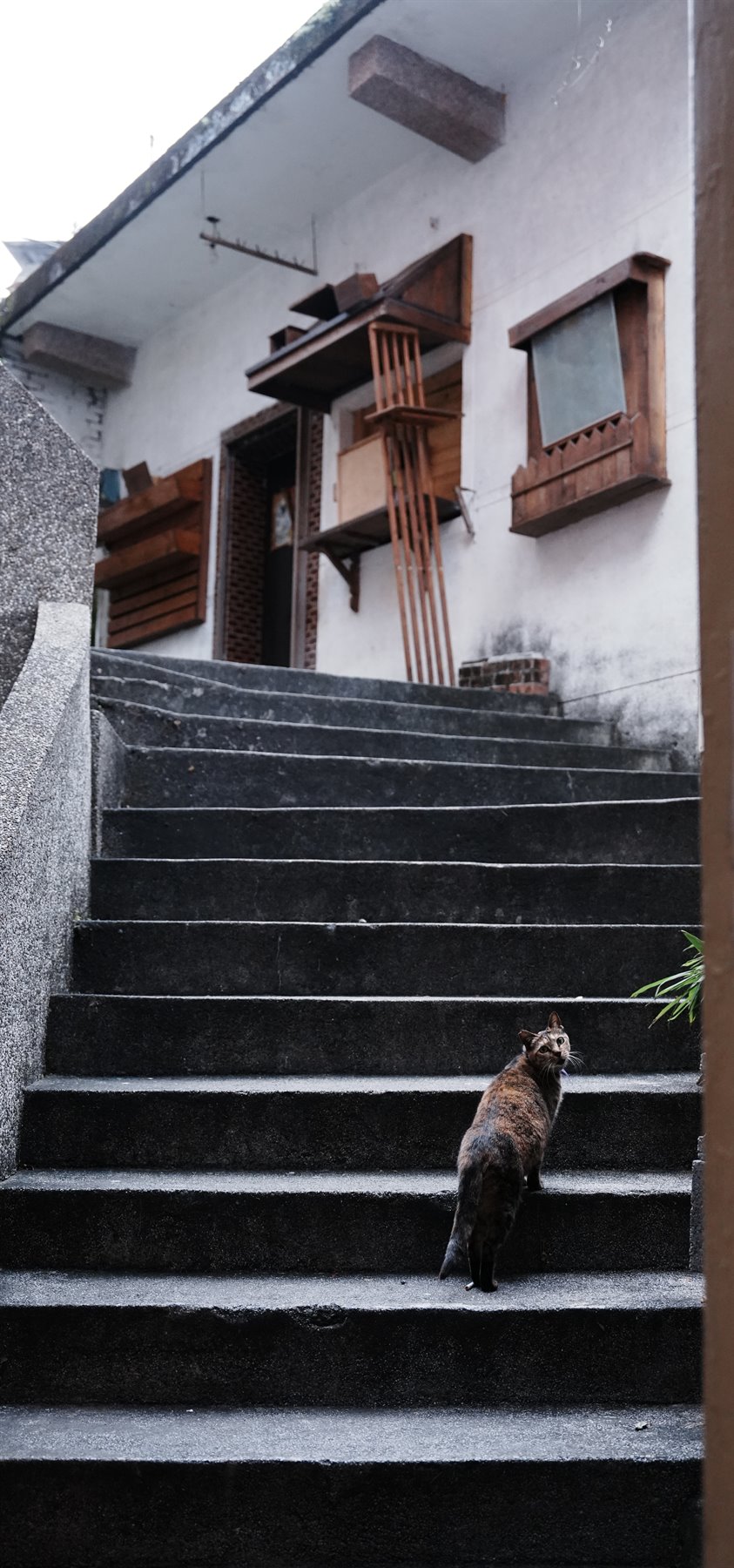 Portrait street photograph 23 / 直式街拍作品 23